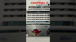 Zeitraffer Hamburg, shipspotting: AIDAprima verlässt Hamburger Hafen, Blick vom Holzhafen Altona