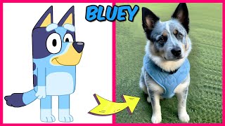 Bluey Characters in Real Life 😱 + their Favorite Foods \& drinks! (and other favorites)