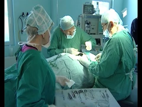 ჩვენი ეზო - პროფესიონალები