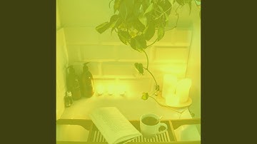 Vivacious Backdrops for Reading with Coffee