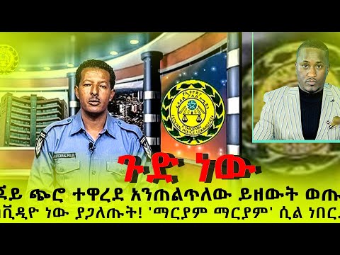 ቪዲዮ: ጆይ እና አልበርት በጦርነት ፈረስ እንደገና ተገናኙ?