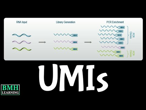 Unique Molecular Identifiers | Unique Molecular Indices | Molecular Barcodes |