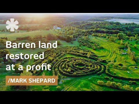 Homestead Paradise: got barren land, boosted it at a profit