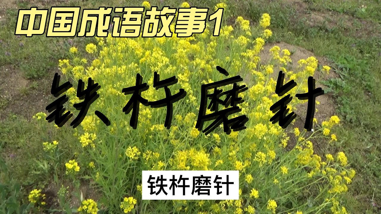 中国成语故事1 铁杵磨针中国語学習成語熟語物語鉄の棒が研磨されて針になる Youtube