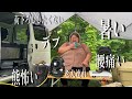 問題山積みの肉汁女と老犬がキャンプを続けていく為に出来る事【BougeRV Rocky ポータブル冷蔵庫】