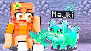 Gram jako LECZĄCY CHOMIK w Minecraft!