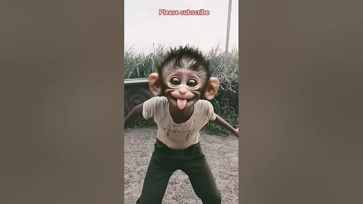 funny videos 😂 #youtubeshorts #funny #comedy #viralvideo #funnyvideos #ytshorts #reels #trending