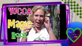 How to Plant Yucca for Sustainable Food screenshot 4