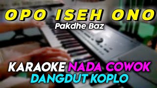 Opo Iseh Ono - Pakdhe Baz | Karaoke Lirik NADA COWOK