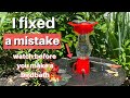 Birdbath Mistakes to Avoid!