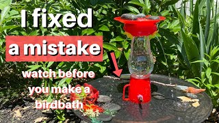 Birdbath Mistakes to Avoid!