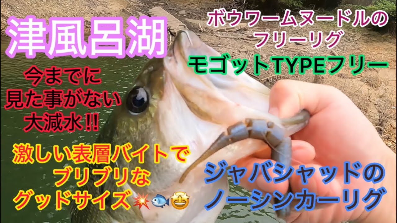 【津風呂湖】今までに見た事がない大減水！！表層バイト連発でグッドサイズのバスが釣れました☆