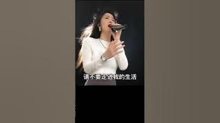 ❤ 你永远不懂我 Ni Yong Yuan Bu Dong Wo 民間歌手 特殊剪辑