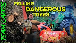 Felling Dangerous Trees & Mowing Trees with a Tractor !