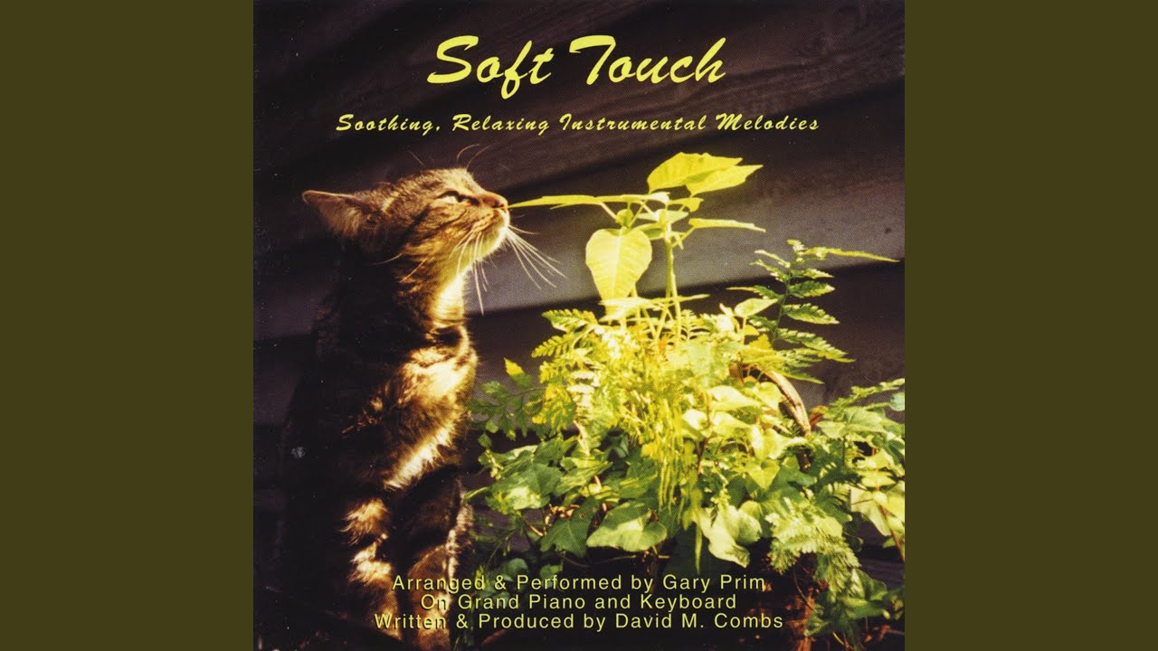 Tonton Sentimental Thoughts di YouTube