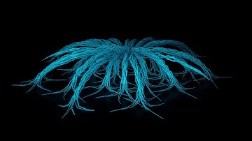 Spider - Tendril - Procedural Animation - Maya Bifrost