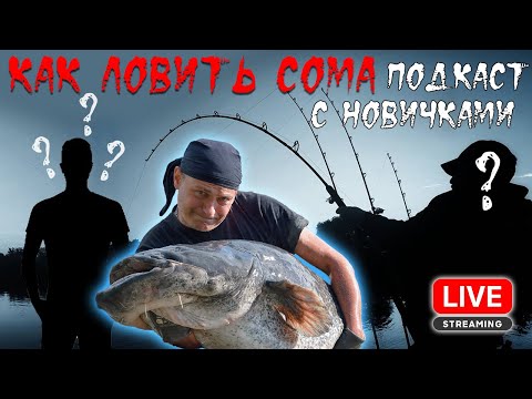 🎙️ Подкаст: Рыбалка на сома для начинающих! Виталий Дальке консультирует в прямом эфире