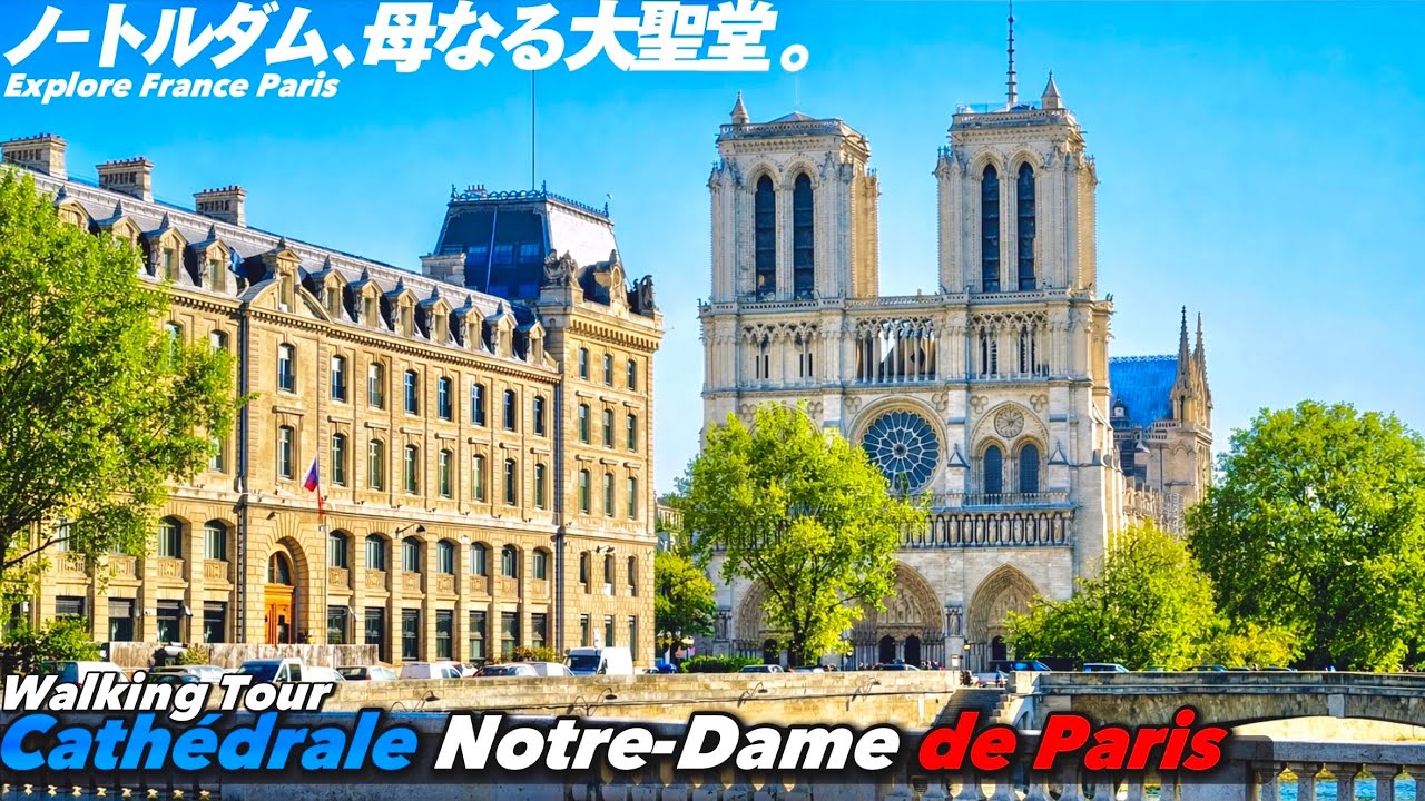 【4K.パリ🇫🇷】初パリ旅の方へ🔰ノートルダム大聖堂をぐるっとご案内【世界遺産|フランス旅|シテ島】Notre Dame Cathedral Guided Tour.France Paris.