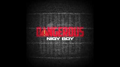 Nigy Boy, DJ Mac - Dangerous (Visualizer / Audio) |  Down Riddim (2024)