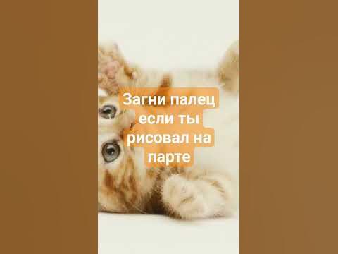 #тест на испорченность #часть2🏊‍♀️🚦🚨🚔👮‍♀️🤑💲💸🪟👵🗑️🥴🤪😜😝😛😛😋🫠😁😄😃😀🤣😂😅😭😭🥰🤩🧡♥️👍 ...