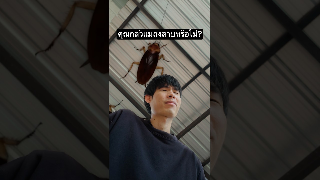 ทดสอบความกลัวแมลงสาบ #ทดสอบ #ความกลัว