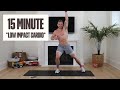 low impact beginner fat burning home cardio workout all standing