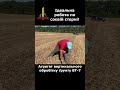 Ідеальна робота по соєвій стерні! #agro