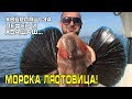 Хвърляш за ЛЕФЕР и... хващаш МОРСКА ЛЯСТОВИЦА