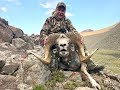 Hunting Altay argali and ibex in Mongolia July 2019