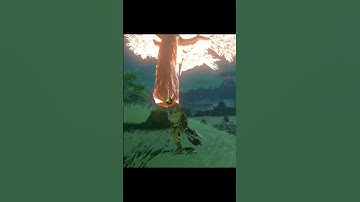 Tree Launch botw #zeldabotw #zelda #videogames #zeldatotk #botw #totk