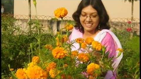 Evening Trees - Day 6 by KUET Civil 2K3 Batch_day 9 &  music video