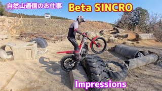 Shizenyama Tsuushin's Work Beta SINCRO Impressions