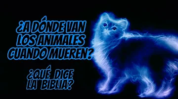 ¿Saben los perros cuándo estamos muertos?