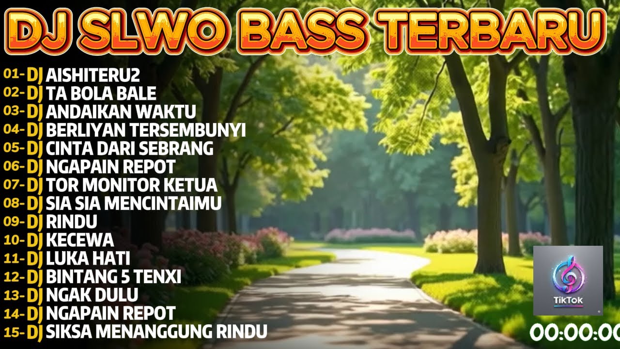 DJ AISHITERU2 Full Album Slow Beat Terbaru 2026 Viral Full Song! RAUNG REMIX