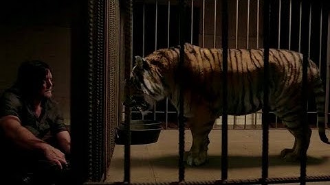 Those Who Have Swords and Know How to Use Them