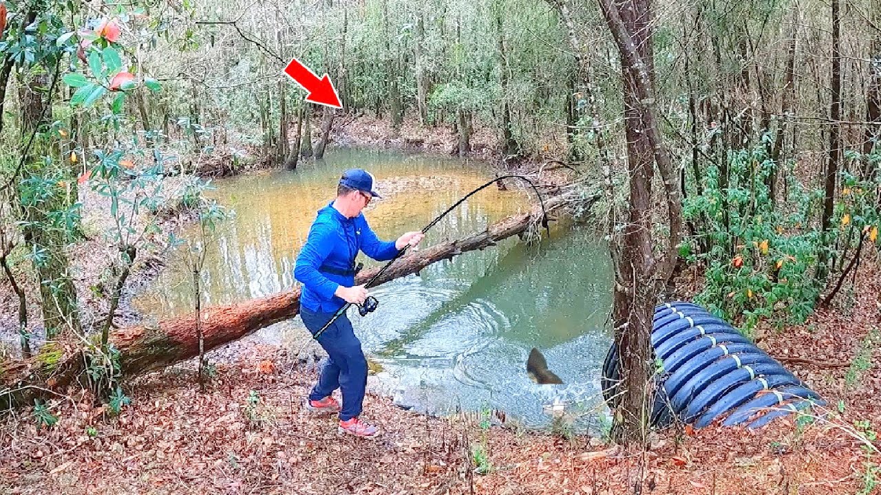 Found a Hidden Spillway in The Woods and Caught THIS!
