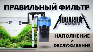 Правильный внешний фильтр для аквариума: наполнение и обслуживание