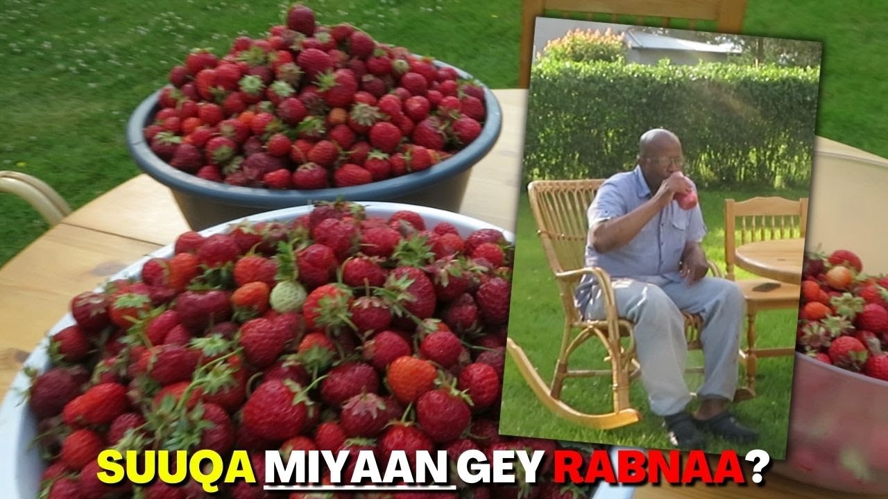 AARAN ADIGOO HELI KARA ABAAR MAXAAD UDOORANEEYSAA??