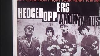 HedgeHoppers Anonymous   " Don't Push Me "   2020 stereo mix.