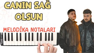 Semicenk & Rast - CANIN SAĞ OLSUN Melodika Notaları