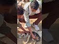 Animal Help Part-363 #gauseva