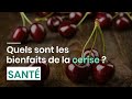 Quels Sont Les Bienfaits De La Cerise Quels Sont Les Bienfaits De La Cerise