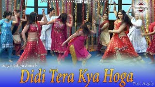 Didi Tera Kya Hoga || Haryanvi Latest Haryanvi Dj Song 2020 || Anju || Pannu Films