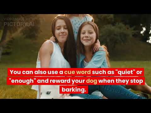 Video: Alle grunnene til at hunden din bjeffer