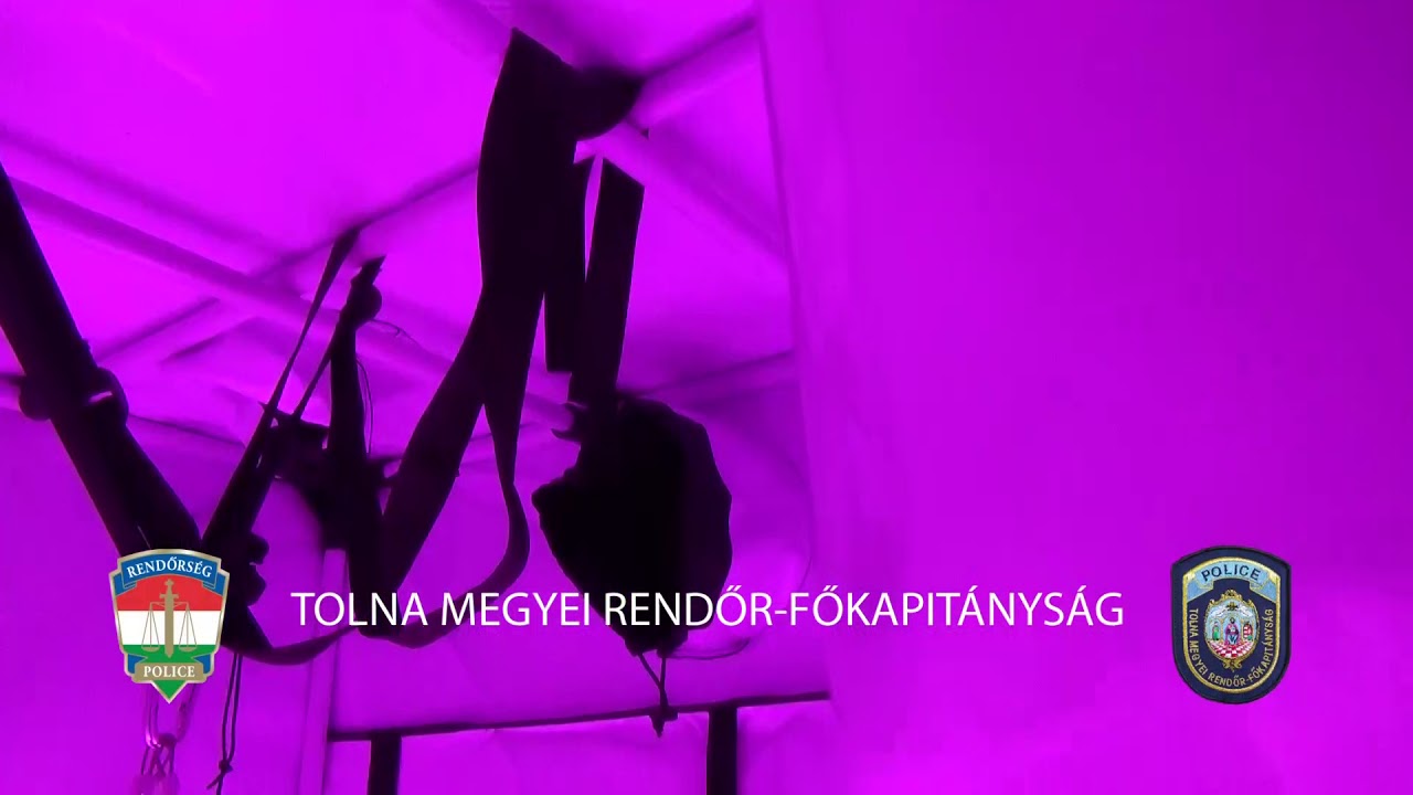 Marihuána társkereső weboldalak