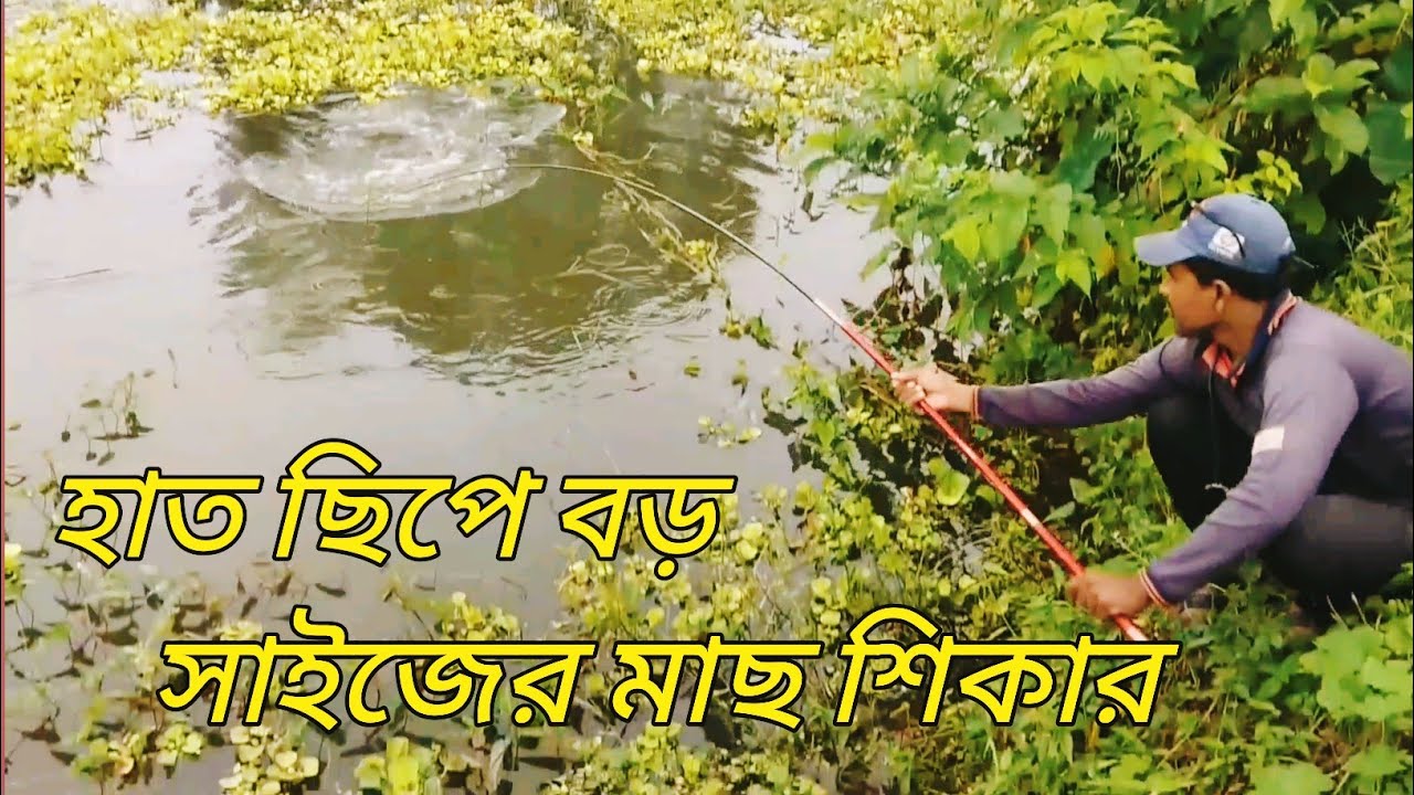 ‌‍‌‌‍ হাত ছিপে বড় মাছ শিকার | hook fishing technique | টিকিট পুকুরে মাছ ধরা