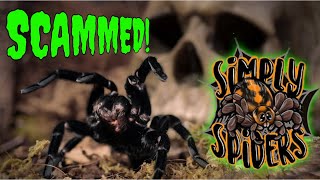 SCAMMED By Simply Spiders? WATCH THIS!