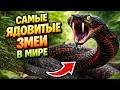 6 ЖУТКИХ монстров, которые живут среди нас! 😱  Топ 6 самых странных животных