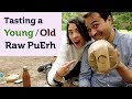 ULTRA SPECIAL TEA - Tasting a Young & Old Raw PuErh