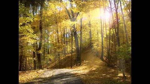 أجمل تلاوة من سورة  الاسراء